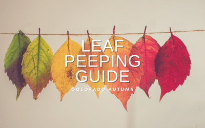 Leaf Peeping Guide-Colorado Autumn